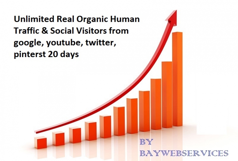 Unlimited Real Organic Human Traffic & Social Visitors from google, youtube, twitter, pinterst 20 days 